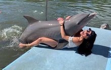 Kráska se přišla mazlit, ale... Delfín chtěl sex!