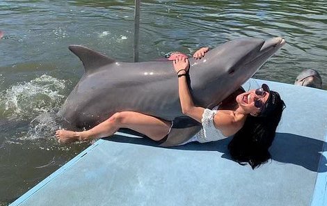 Delfíni jsou sexuálně velmi náruživí...