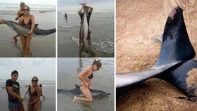 Pár děsivě týral mladého delfína na pláži.