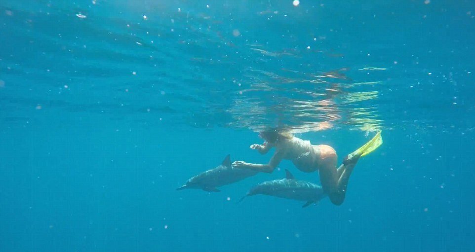 Delfíni už dali Darině požehnání, aby rodila v jejich přítomnosti v moři.