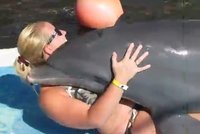 Žena byla znásilněna delfínem! Podle vědců je to normální