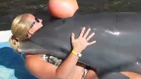 Podle vědců není touha delfínů po sexu s člověkem nikterak výjimečná.