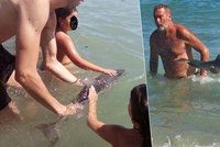 Mládě delfína se zatoulalo na pláž: Turisté ho utýrali kvůli selfie
