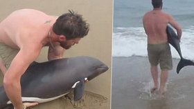 Malý delfínek uvízl na pláži: Hrdina ho v náručí odnesl zpět do moře