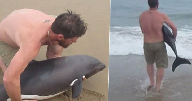 Malý delfínek uvízl na pláži: Hrdina ho v náručí odnesl zpět do moře