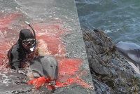 Masakr jen pro silné povahy: Rybáři zaženou delfíny do „zátoky smrti“