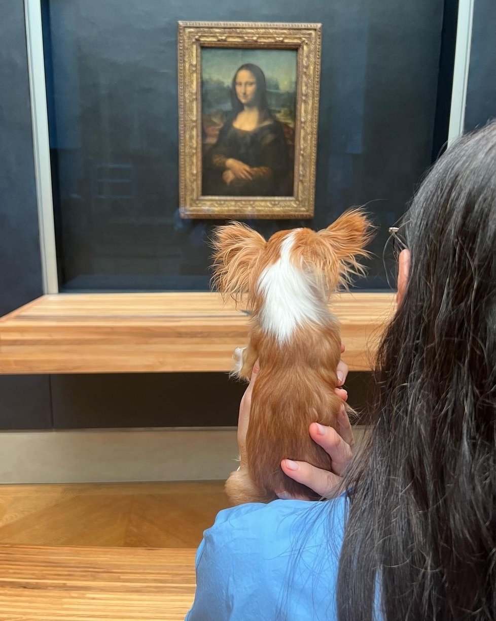 V Louvru před portrétem Mona Lisy.