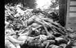 1944: Hromady mrtvol v táboře Sobibor, to byla jeho práce