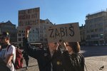 Demonstrace proti Babišovi a Zemanovi: v Plzni přišly asi čtyři stovky lidí.