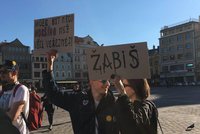 Demonstrace v Plzni: K demisi Babiše vyzvaly čtyři stovky lidí