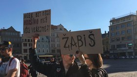 Demonstrace v Plzni: K demisi Babiše vyzvaly čtyři stovky lidí