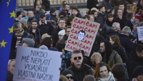 Protest proti vládě Andreje Babiše (ANO)