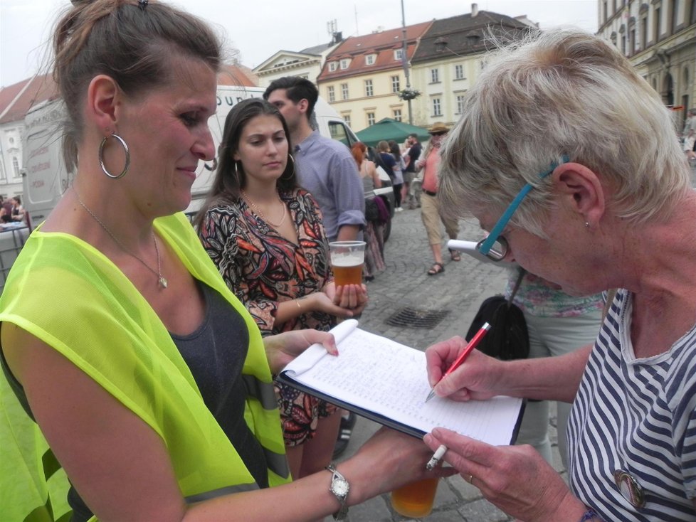 Demonstrace byly završením sběru podpisů petice za odstoupení trestně stíhaného premiéra. Petici za 100 dní podepsalo 250 000 lidí  (5.6.2018)