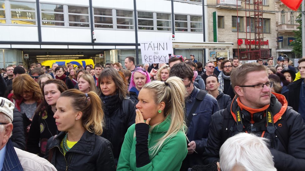Demonstrace v Brně proti Babišovi se Zemanem.