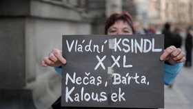 Vzkaz jedné z protestujících české politické elitě během březnových protivládních demonstrací