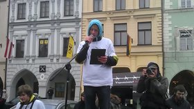 Podnět ke svolání demonstrace na českobudějovickém náměstí Přemysla Otakara II. vzešel před několika dny od studenta třeboňského gymnázia Dominika Hořejšího.