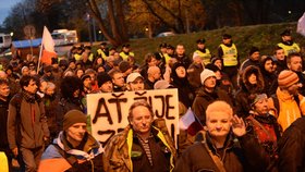 Pochod z Letenských sadů k Úřadu vlády, Zuzana: Shromáždění nazvané Na podporu pana prezidenta Miloše Zemana a podporu vlastenců 