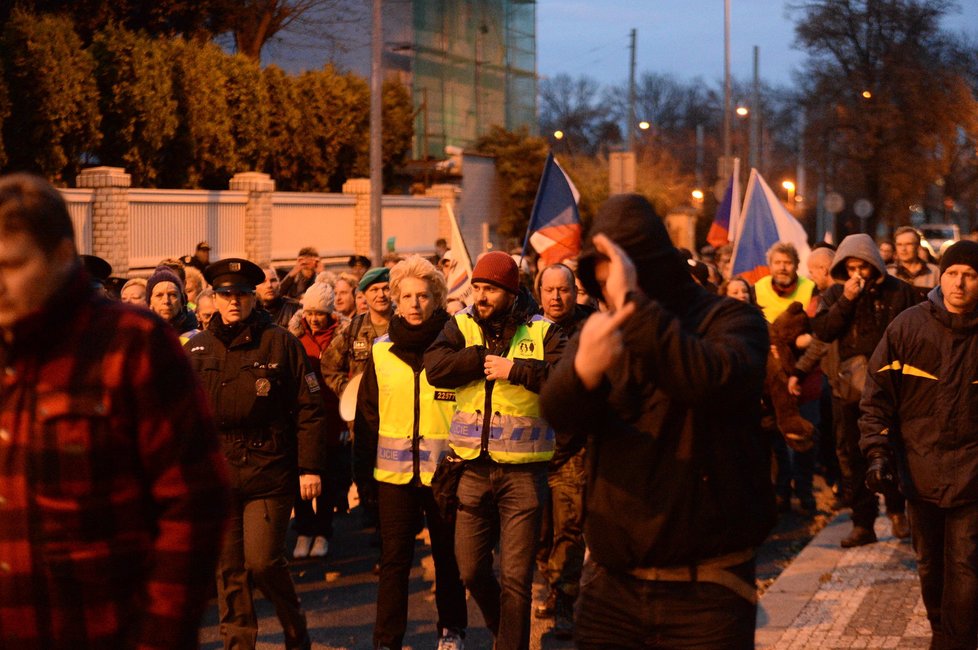 Pochod z Letenských sadů k Úřadu vlády, Zuzana: Shromáždění nazvané Na podporu pana prezidenta Miloše Zemana a podporu vlastenců