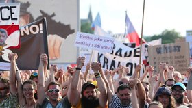 Účastníci demonstrace za nezávislost justice a lepší vládu na Letné (23. 6. 2019)