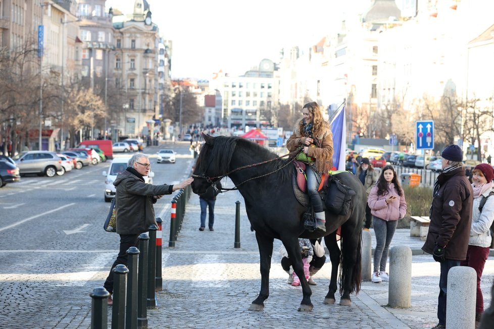 Demonstrace proti lockdownu, Václavské náměstí, Praha (31. ledna 2021)