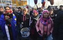 Demonstrace: Proti komunistům, Zemanovi i Babišovi