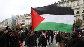 Propalestinské protesty v Česku: Rakušan řekl, kdy policie nekompromisně zasáhne