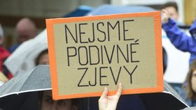 Na Horním náměstí v Olomouci se 28. května 2019 sešli lidé k další demonstraci za demisi ministryně spravedlnosti Marie Benešové.