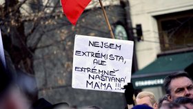 Demonstrace podporovatelů prezidenta Zemana proti islámu, migrantům a vládě