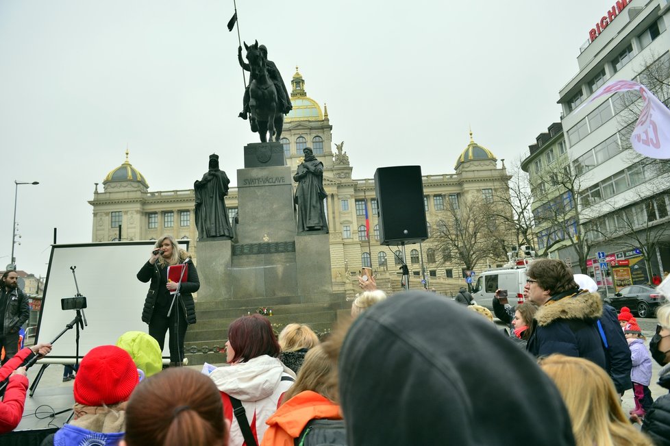 Druhá protivládní demonstrace na Václavském náměstí s názvem Jsme lidi, nás nevypnete!