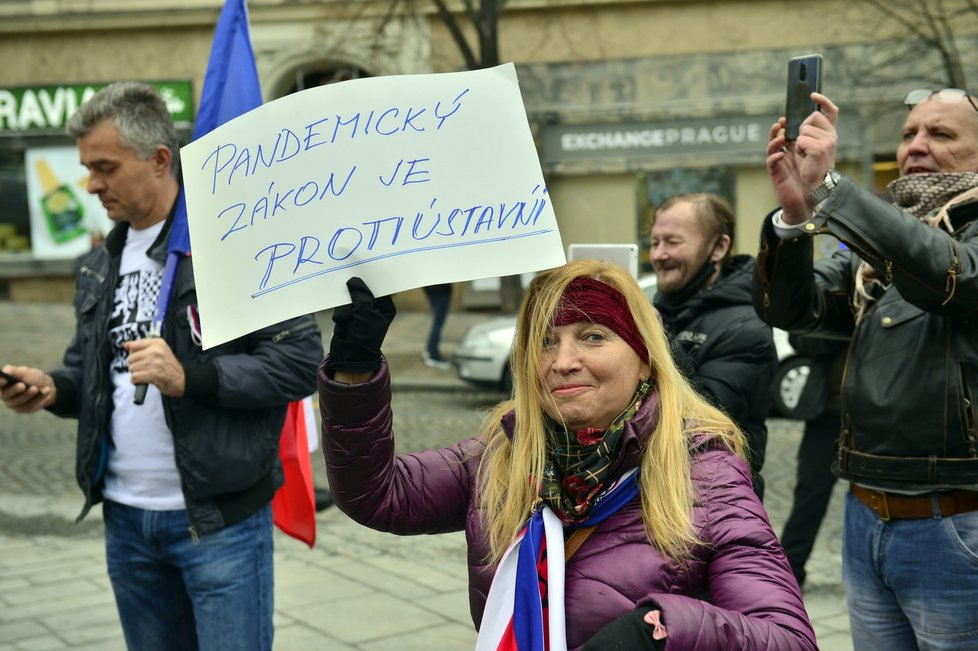 Druhá protivládní demonstrace na Václavském náměstí s názvem Jsme lidi, nás nevypnete!