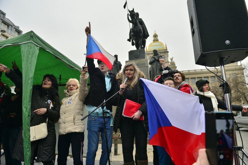 Druhá protivládní demonstrace na Václavském náměstí s názvem Jsme lidi, nás nevypnete!