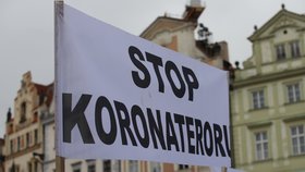 Průběh demonstrace proti vládním opatřením namířeným proti koronaviru. (10. leden 2021)