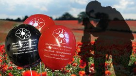 V Kyjově vyroste rekordní vlčí mák na světě: Uctí památku válečných veteránů