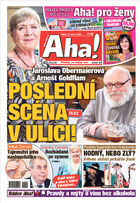 Deník Aha! 19.4.2024