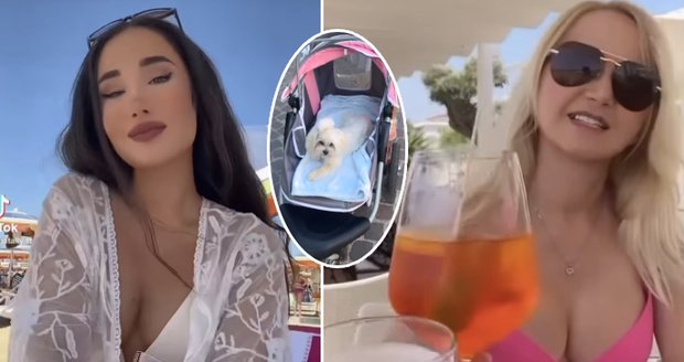 Grossovy ženy oslňují Bibione: Kočky (a pes) na tripu!