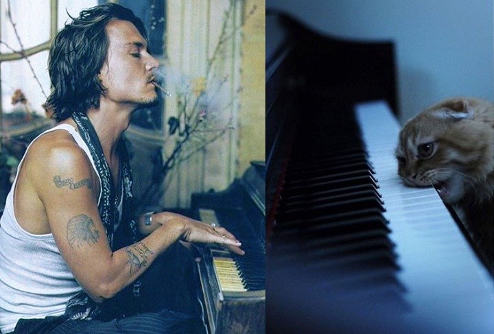 Johnny Depp vs. kotě.