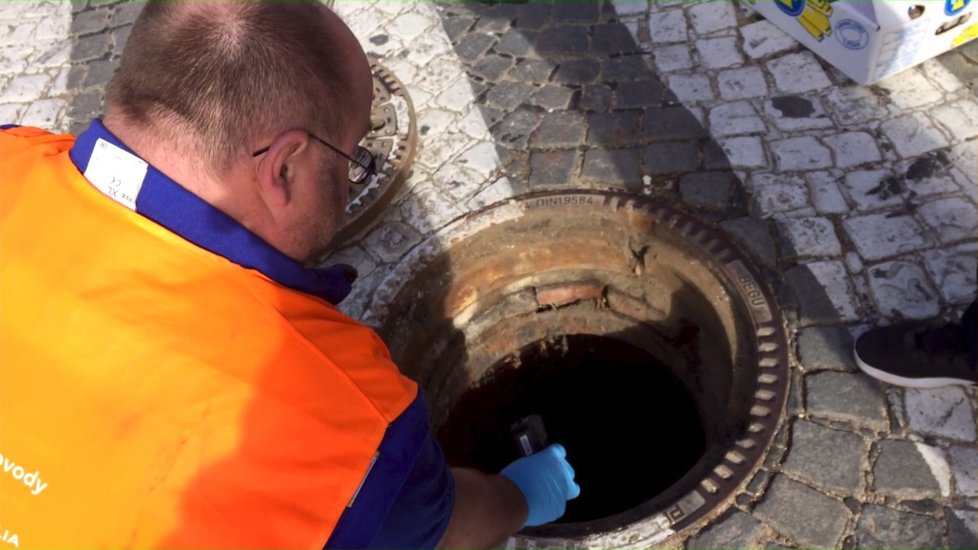 Odborníci Pražanům pod nohy umístí nástrahy na hlodavce o hmotnosti 3,5 tuny.