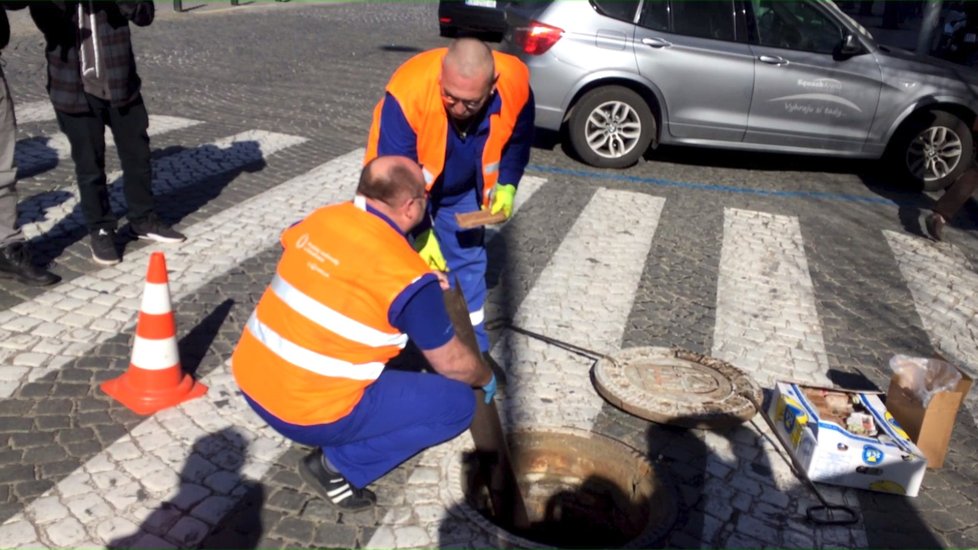 Odborníci Pražanům pod nohy umístí nástrahy na hlodavce o hmotnosti 3,5 tuny.