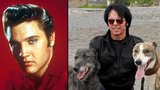Hon na Elvise: Policie se snaží dopadnout dvojníka slavného zpěváka, je ozbrojený!