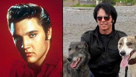 Britská policie pátrá po Elvisovi, respektive jeho dvojníkovi.