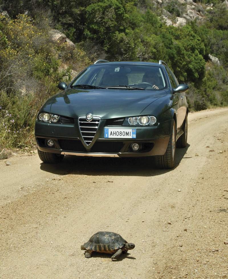 Alfa Romeo 156