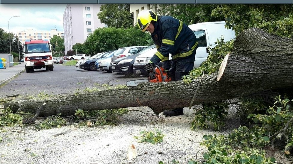 V Pardubickém kraji měli hasiči v 11 případech výjezdy na popadané stromy, nejhůře dopadl zaparkovaný vůz v Chrudimi. V dalších 10 případech hasiči čerpali vodu, řešili propadlou vozovku pod autem.