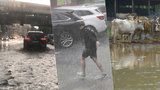 Přívalové deště sužují Česko, hrozí i bleskové povodně. Jak ochránit svůj život a majetek?