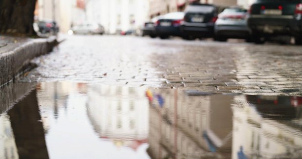 Zima se nekoná? Konec ledna proprší. Únor přinese noční mráz, přes den bude nad nulou