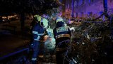 Hasiči v pohotovosti kvůli vydatnému dešti: V Praze hlídali Botič, v Nuslích spadla větev na auto