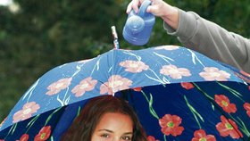 Tmavomodrý deštník s vlčími máky