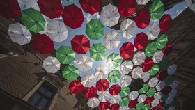 BRNO MEETS ITALIA: barevné deštníky nad Českou ulicí v Brně.