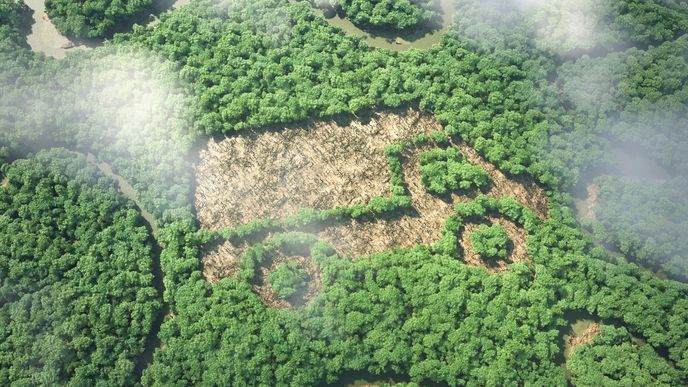 Deštný prales s piktogramem