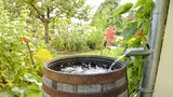 Tipy, jak v zahradě co nejlépe využít a uchovat dešťovou vodu 