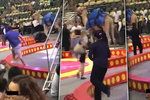Panika v cirkuse: Splašený velbloud zranil šest dětí!